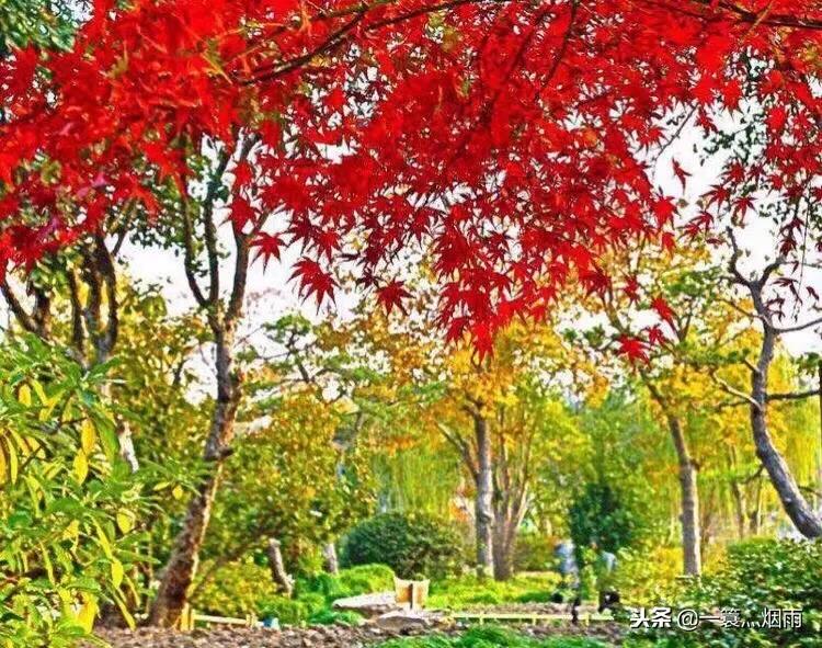 美丽的水乡周庄完整版,美丽的江南水乡充满诗情画意