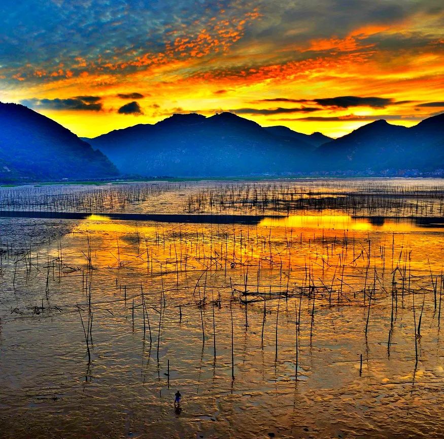 霞是光，浦是海：光与海的对话，吟唱出最美的滩涂