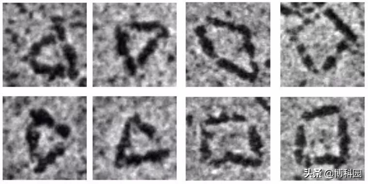 发现创造单链蛋白质纳米结构的新方法