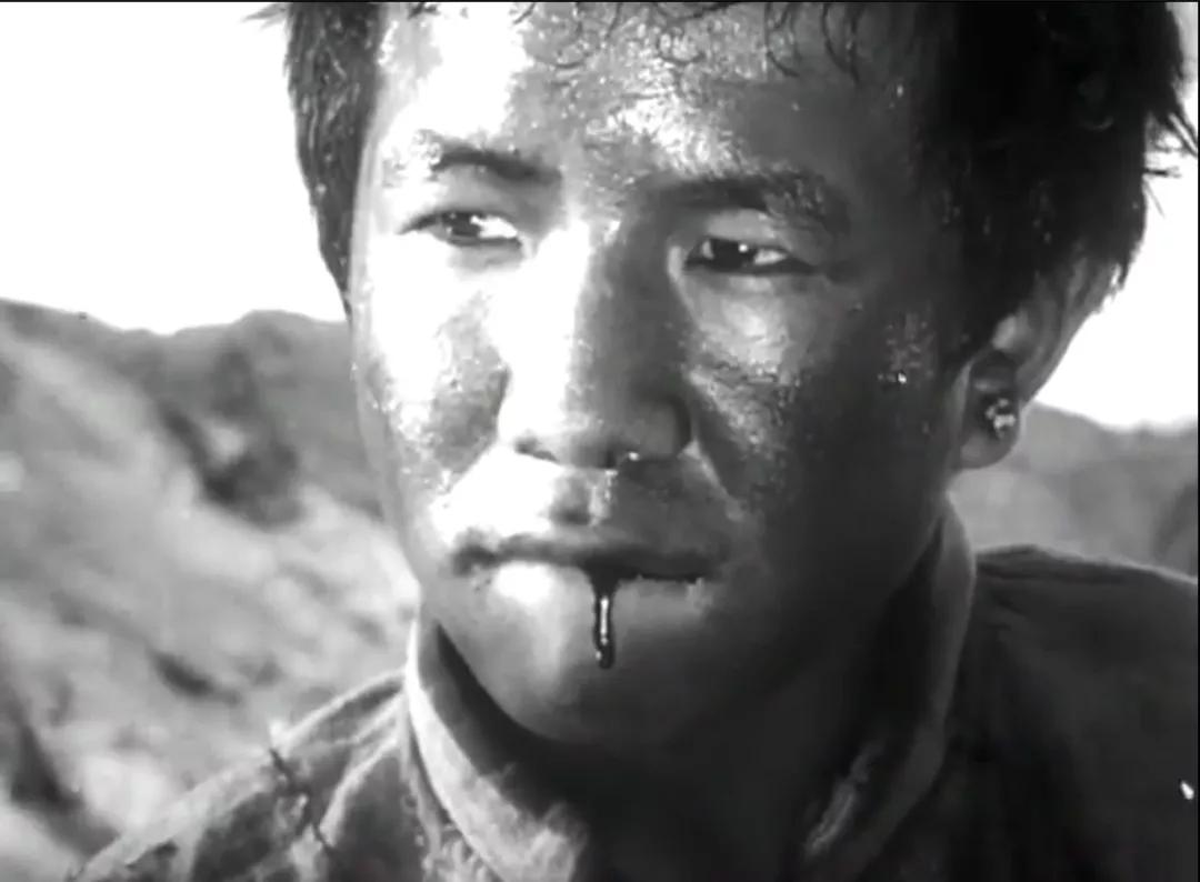 从不如牛马到翻身做主,*藏西**农奴是如何得到解放的?