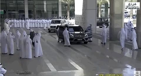 迪拜王子哈曼丹的儿子,哈曼丹王子双胞胎