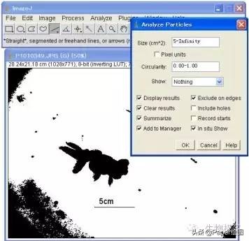 黄色和绿色如何用imagej分析,imagej图像分析教程