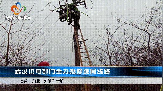 2018年1月武汉大雪,湖北武汉下大雪了吗