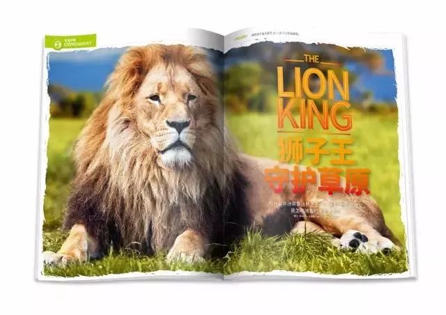 班主任推荐的书目,班主任方面的杂志推荐