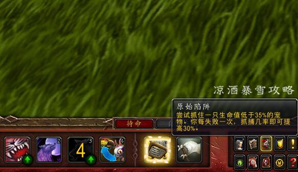 魔兽世界宠物对战字符串怎么用,魔兽世界黑石深渊宠物对战攻略