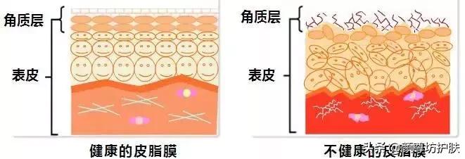 颜尊坊古方调肤养肤,颜尊坊祛斑