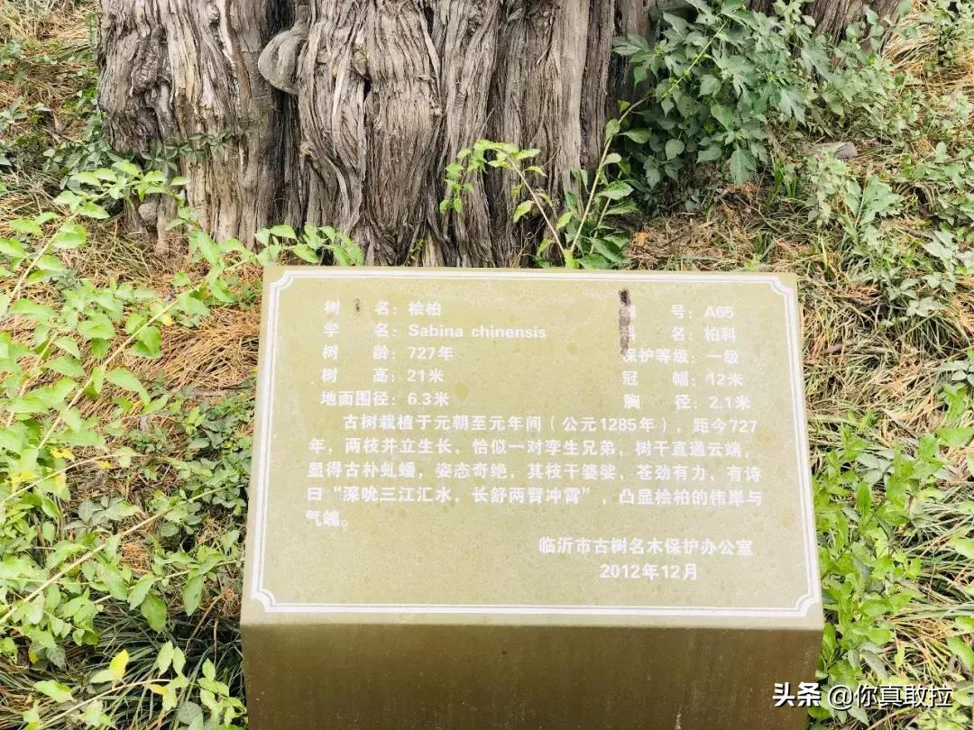 临沂骨科医院搬迁到哪里,临沂市骨科医院搬迁到哪里了