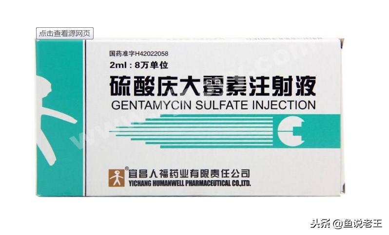 预防鱼儿生病怎么下药,如何急救生病的鱼