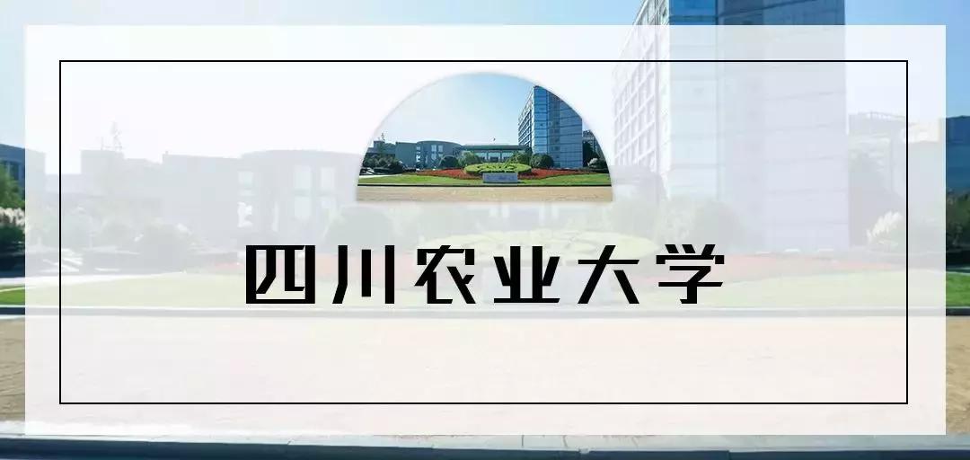 全国十大奇葩高校,奇葩高校盘点