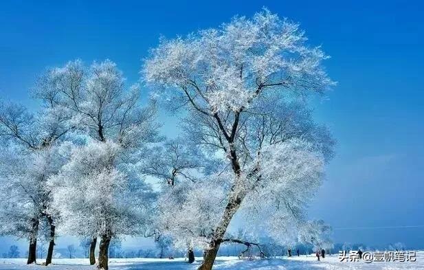 冬季情侣旅行地方推荐,情侣冬天适合去哪旅游