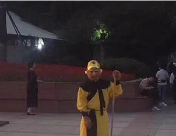 狗狗偷吃红烧肉还把主人坑惨了,狗狗偷吃了好多宠物零食