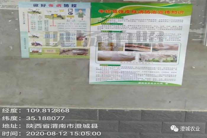 兰陵县疫情防控工作,布病防控宣传