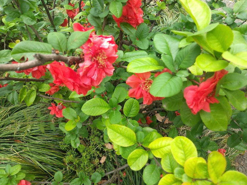 甜蜜蜜深刻含义,甜蜜蜜深层领悟