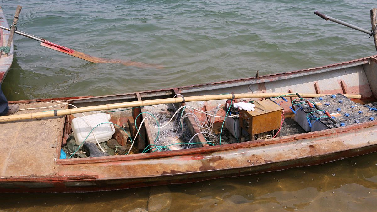 电鱼从什么时候禁止了,电鱼为什么是违法的