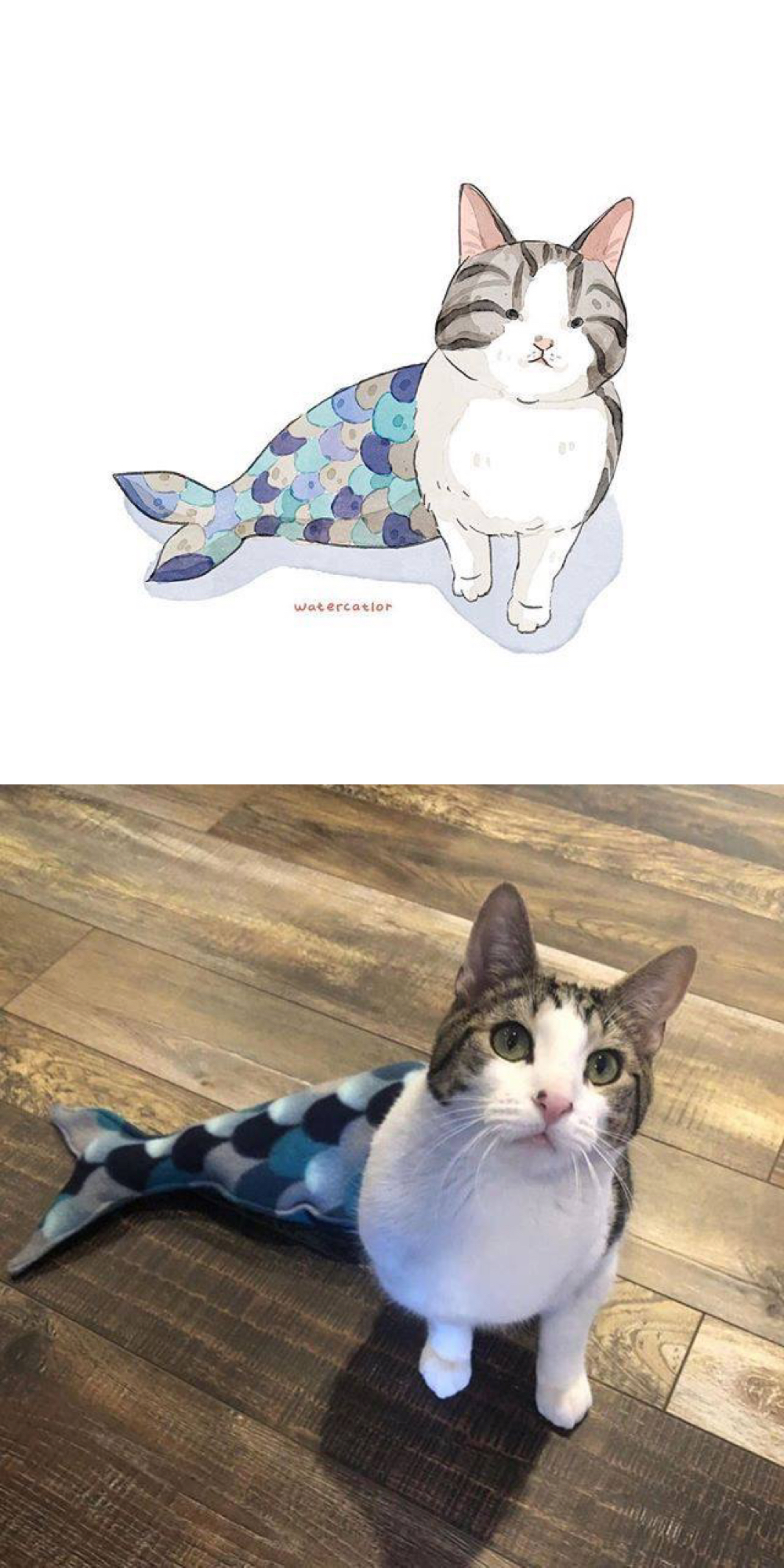 可爱小猫咪的漫画,猫呆萌漫画图