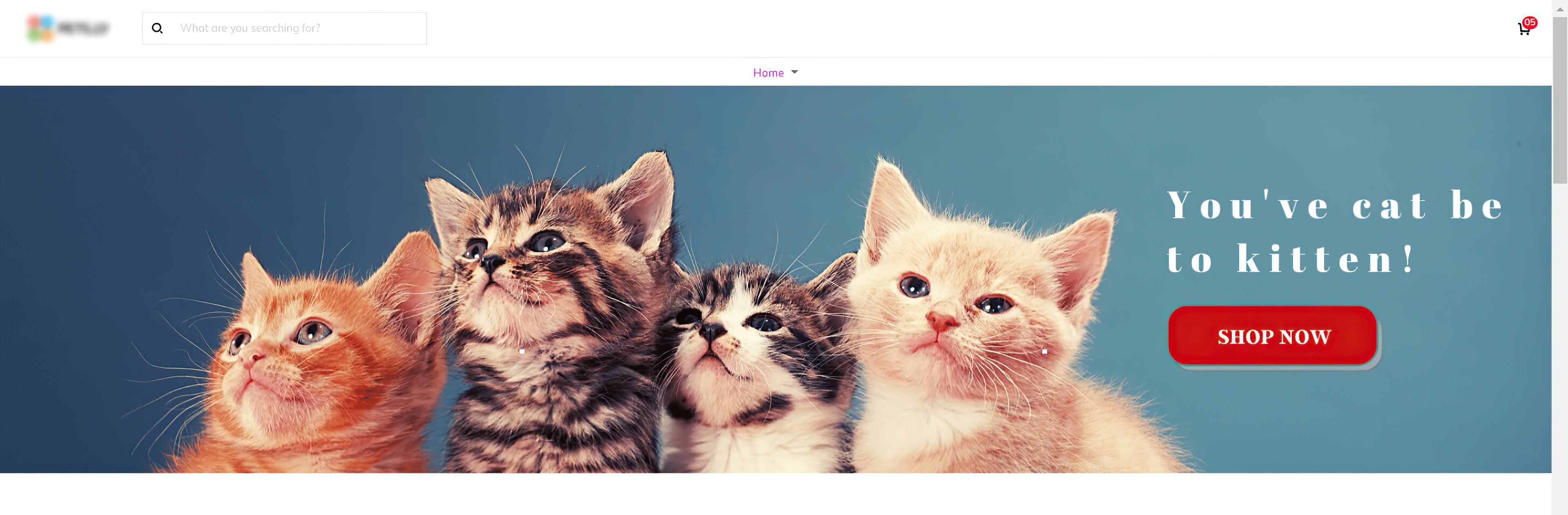 在Covid-19大流行期间,玛丽如何通过Dropshipping卖货126927美元