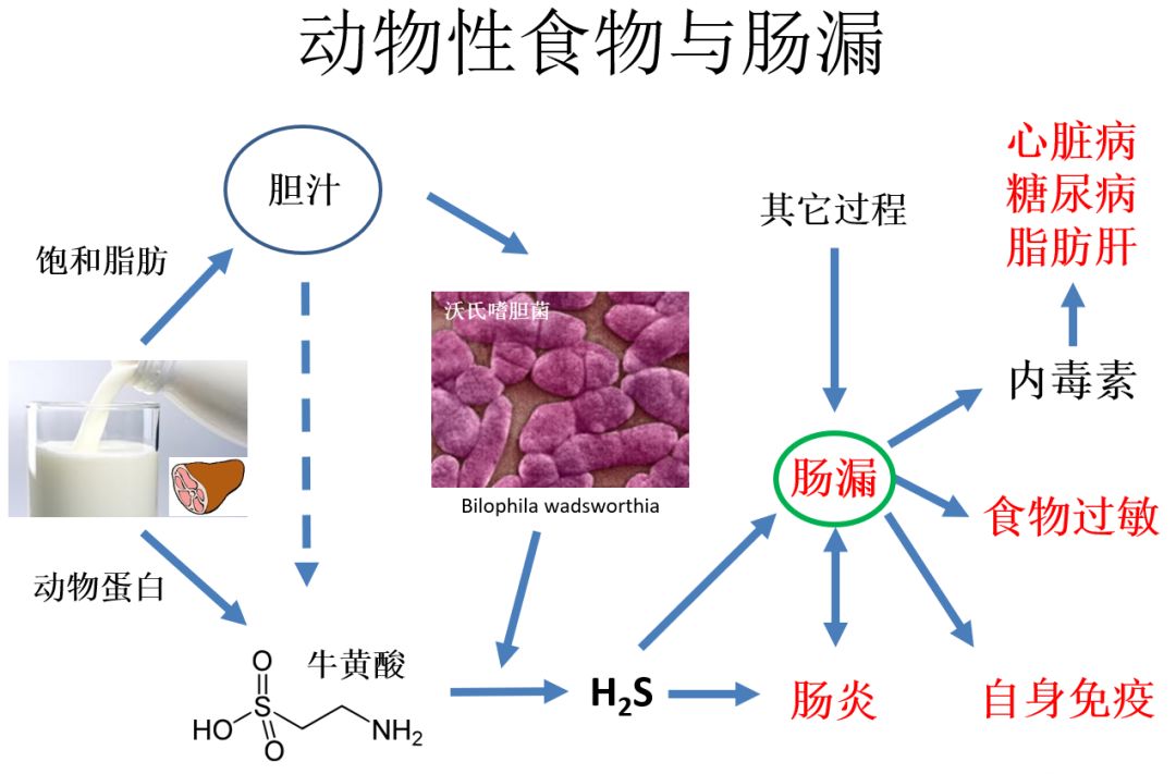 甲状腺癌和甲亢甲减有什么关系,甲状腺癌伴有甲亢怎么治疗