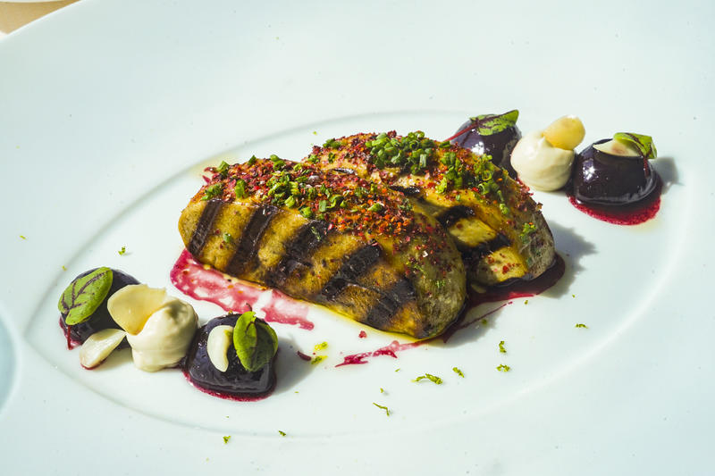 从天空到海洋到大地的视频,从天空到海底绘本