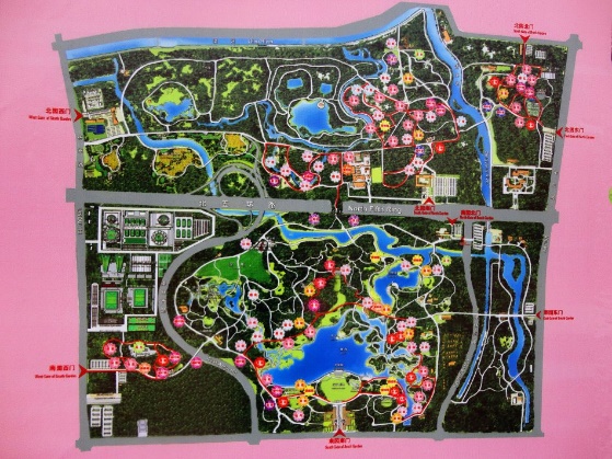 北京奥森南园滑雪,奥森赏花攻略