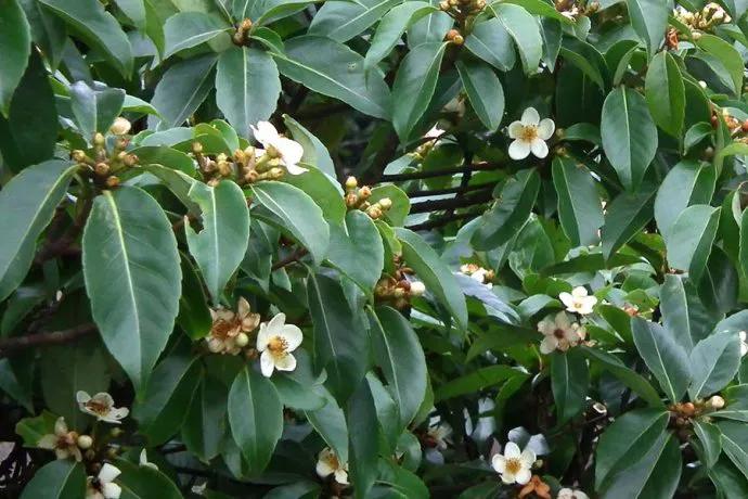 三明大金湖导游词400字,大金湖的景区导游介绍