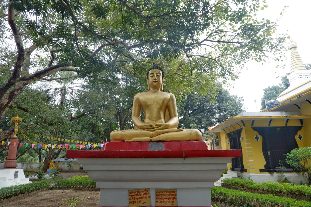 坐公交出国,坐公交可以环游中国么