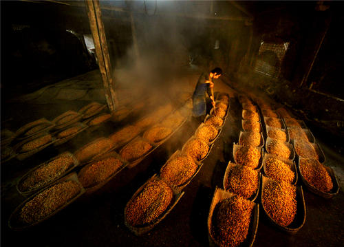 大曲是怎么做的,大曲是什么原料制成的