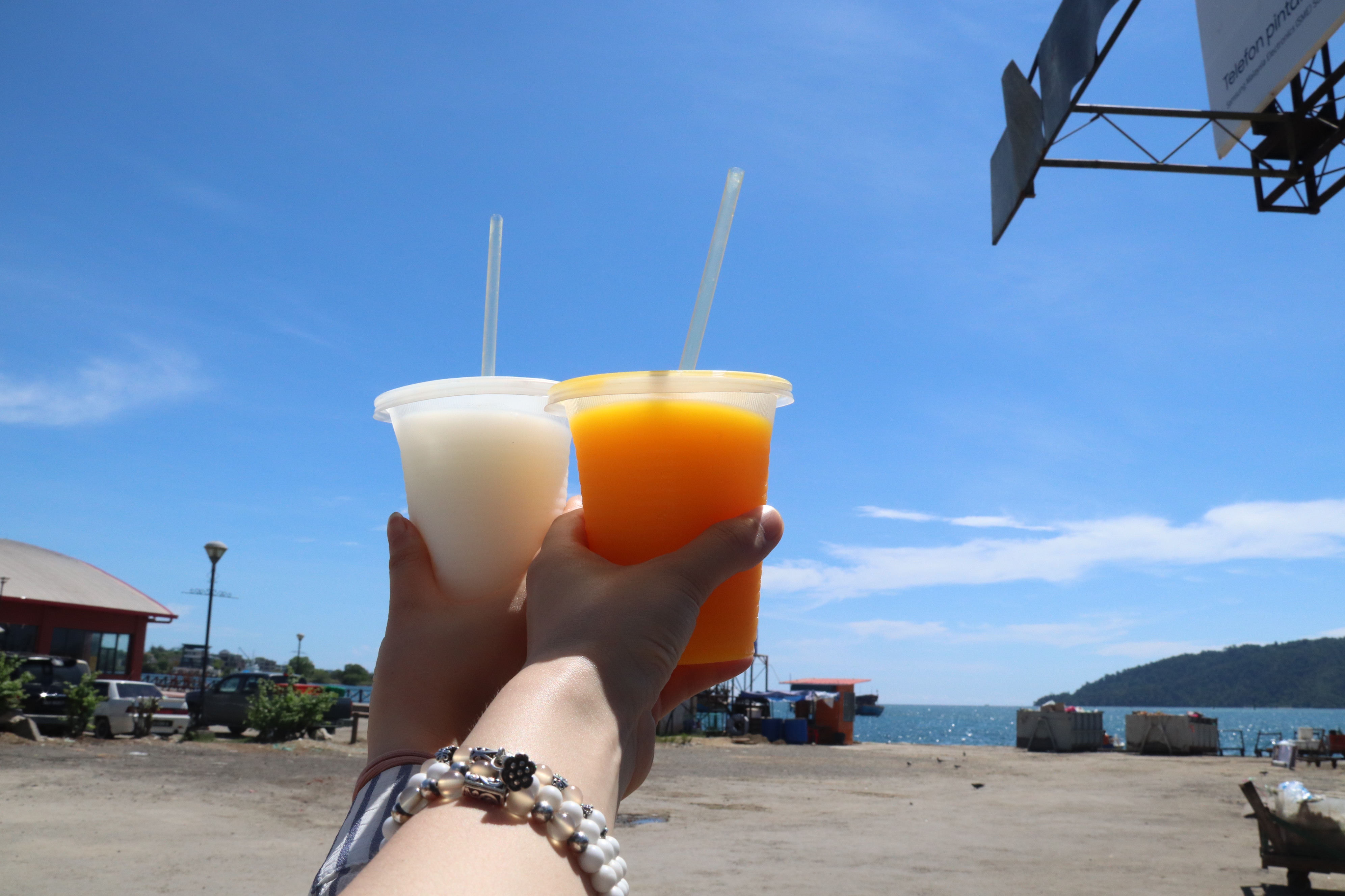 2018马来西亚之旅留影,2019回眸