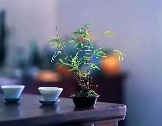 喝杯英山云雾茶静静,等等还未追上的灵魂