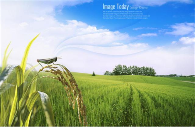 海南三亚5天自由行攻略详细,海南三亚7天旅游攻略最新