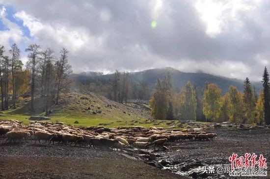 令人动容曾经支教的老师,支教老师的心酸与泪水