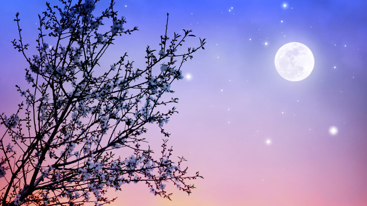 七律明月夜古诗,十首有关清风明月的古诗词