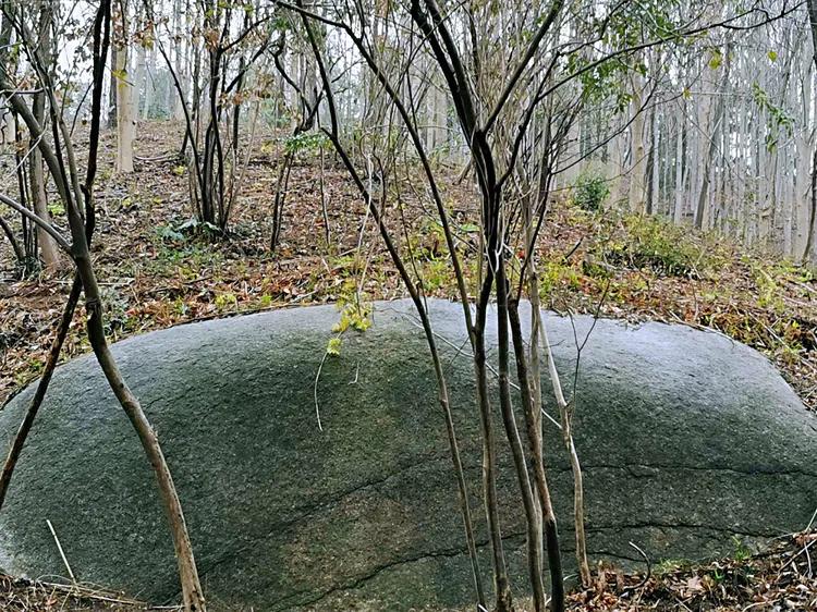 华容山水苑别墅100万,华容秀丽山水风景区