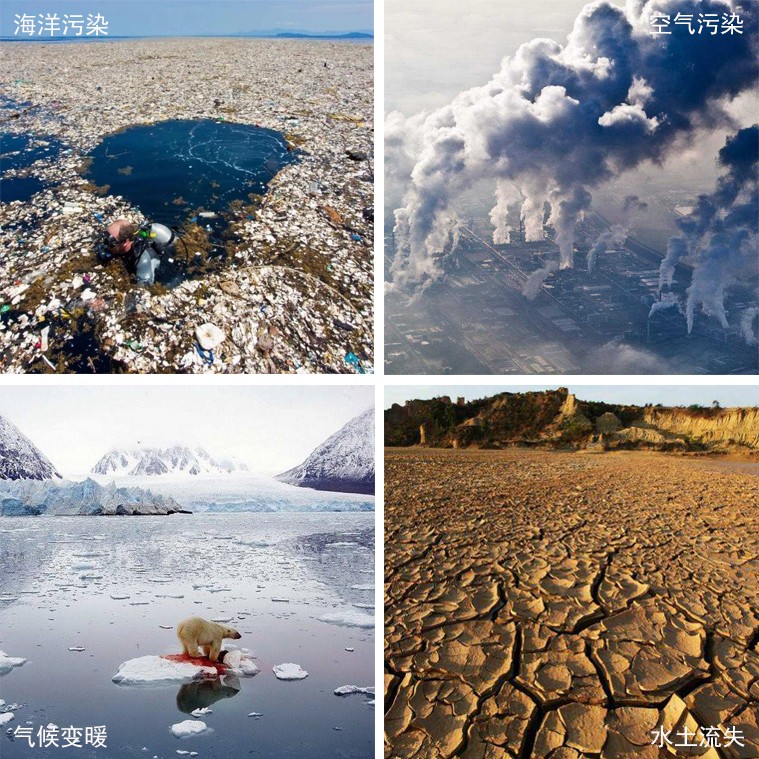 世界环境日宣传文字,世界环境日环保宣传进社区活动