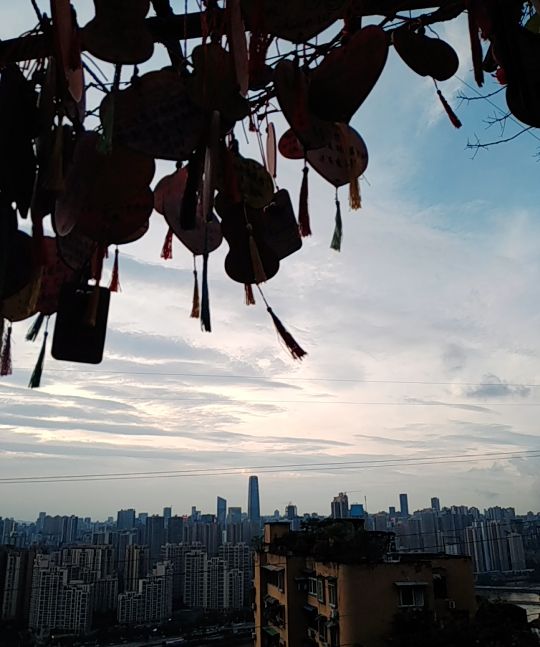 重庆今年的就业问题如何,重庆就业前景怎么样