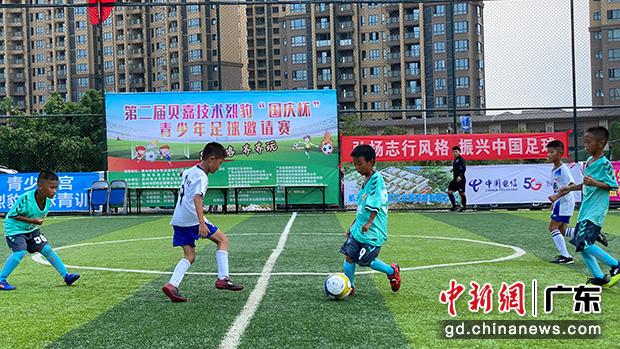 2021骞寸2灞婄儓璞规妧鏈浗搴嗘澂,绗簩灞婂崥鑳滄澂鍏ㄥ浗闈掑皯骞撮個璇疯禌