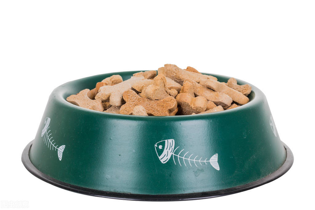 养宠经验50字,狗狗一直呕吐不拉稀怎么办