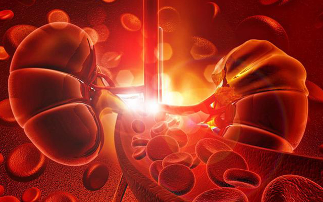 过敏性紫癜还有皮疹可以出院吗,过敏性紫癜皮疹下去多久能上学