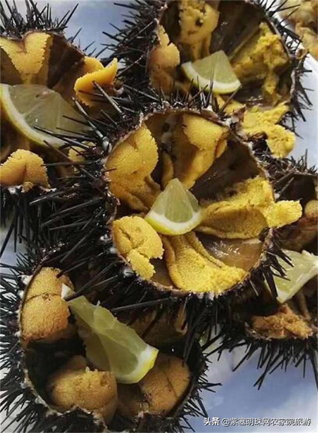 大连獐子岛旅游攻略住宿,獐子岛旅游住宿费用