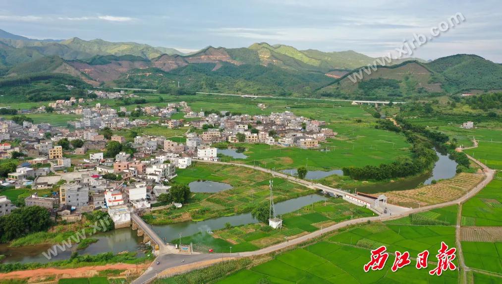 年收入翻了8倍多！肇庆这条村是怎么做到的？