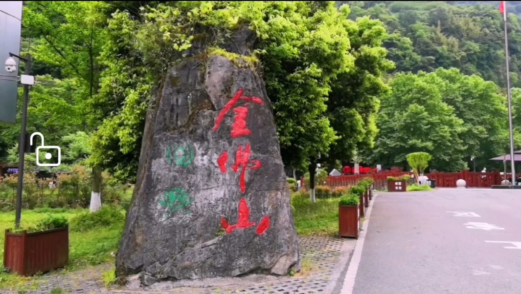 重庆近郊当天来回最佳景点自驾,七八月重庆金佛山自驾游攻略