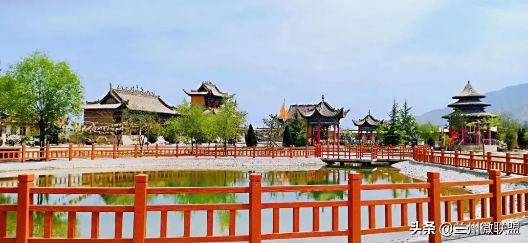 杏林湖黑天鹅,五一假期观光兰州