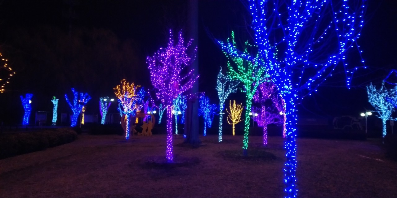 小文好就业吗,小文梦想成真