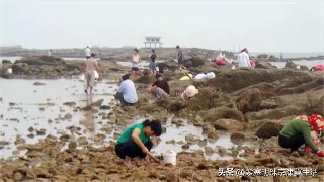 吴家台渔家民宿小院,海岛渔家客栈