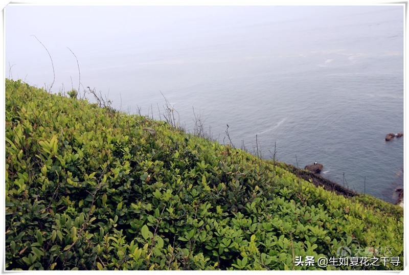 深圳市杨梅坑美人鱼拍摄基地,深圳大鹏杨梅坑美人鱼拍摄地点