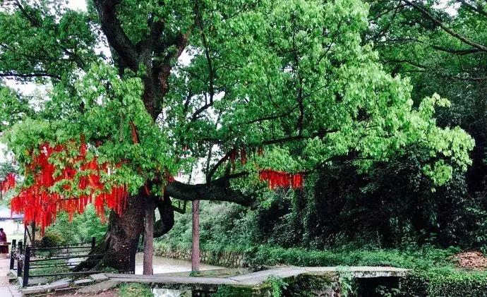 南京周边私藏的8个绝美乡村,南京避暑古村