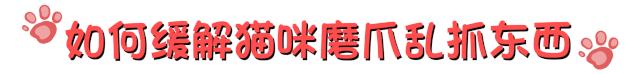 猫咪爱磨脚怎么回事,为啥猫咪爱挠沙发
