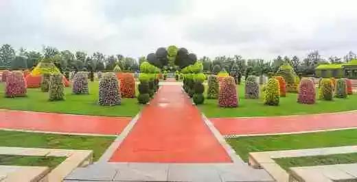 江西抚州最近的消息,抚州市最新消息今天