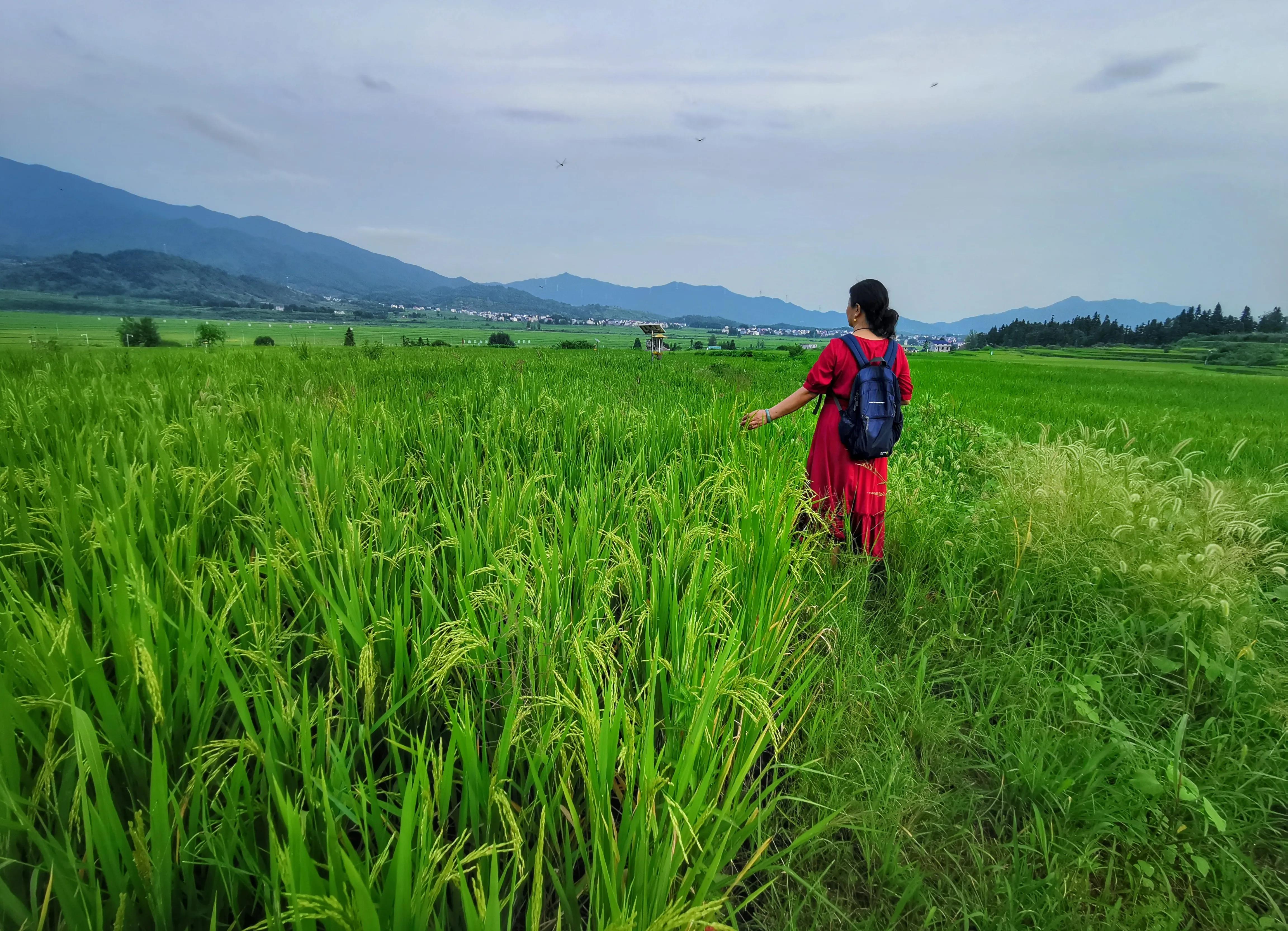 你会去莲花玩吗？我找到了3个“趣味点”，玩了一次跟着喜欢走