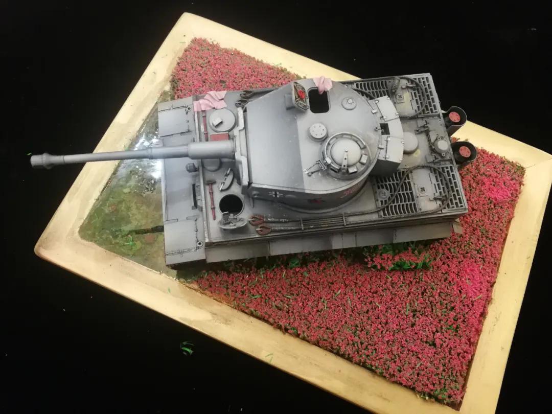 二战德国女兵阅兵,二战德国女兵的视频