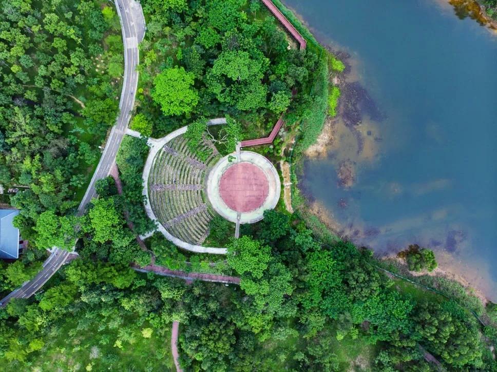 来了就是深圳人男声版,为什么说到了深圳就是深圳人